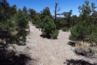 36-looking_back_to_trail_fork,take_trail_uphill_to_left,not_fork_to_right_towards_group_camping_area