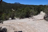 40-Rocky-reassure_M-trail_to_right,left_leads_to_primative_camping_area_and_shorter_path_to_Sawmill_parking_area