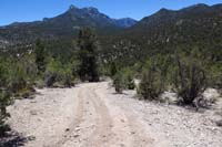 41-Rocky-reassure_M-looking_to_path_to_Sawmill_parking_area_cut_by_illegal_motorized_vehicles-need_sign