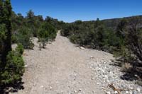 42-Sawmill_48-looking_E-path_to_right_leads_to_primative_camping_and_direct_way_to_Sawmill_parking_area