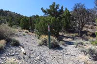 26-new_carsonite_sign,trail_to_the_left_merges_with_Deer_Creek_Catch_Pen_Trail