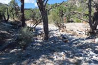 29-trail_washed_out_due_to_Tropical_Storm_Hilary