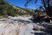 30-looking_down_drainage_to_washed_out_trail_area