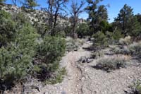 32-looking_back_at_portion_of_trail_that_still_exists