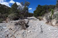 35-trail_is_gone,wiped_out,continue_up_the_drainage_until_trail_exits_to_R_at_Blue_Tree_65_waypoint