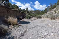 38-flood_transformed_the_landscape-over_12_foot_shelves_in_areas-lots_of_water_flowed