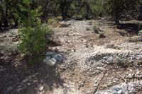 41-Blue_Tree_63_waypoint-trail_continues,partial_cairn_remains