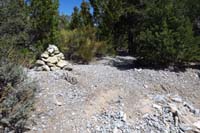 43-Blue_Tree_64_waypoint-looking_back,defined_trail_for_a_little_while