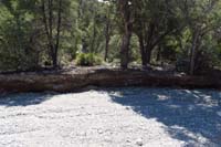 44-Blue_Tree_64_waypoint-trail_supposed_to_continue,then_meander_towards_R,but_washed_out