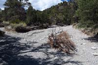 45-Blue_Tree_64_waypoint-about_500_feet_up_drainage_is_exit_at_Blue_Tree_65_waypoint