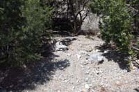 47-Blue_Tree_65_waypoint-exit_drainage_to_continue_with_defined_trail