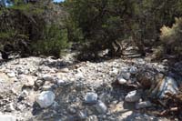 48-Blue_Tree_65_waypoint-looking_back_at_what_was_supposed_to_be_the_trail