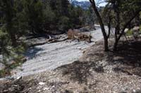 51-trail_wiped_out_again_about_700_feet_from_old_cars