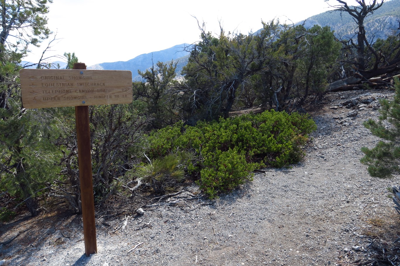51-ShowgirlEquestrianSwitchback_TJ-new_signage
