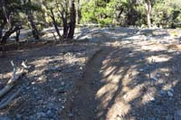 13-more_well_defined_section_of_trail-nice_trail,but_best_for_downhill