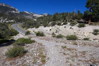 15-Pixie-JumpLine_TJ_and_TH_to_left,Pixie_behind,Jump_Line(formally_Gypsy)_to_R