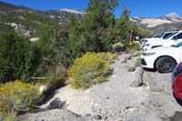 16-ChutesnLadders_TH,NLT_TH_further_to_right