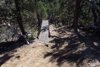 20-one_of_several_jumps_for_mountain_bikers