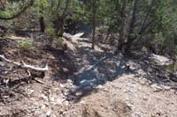 21-flood_damage_area,but_fixed_by_mountain_bikers