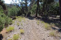 23-portions_of_the_trail_is_quite_level_and_pleasant