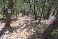 25-connector_trail_from_Robbers_Roost_parking_lot_to_Hike_a_Bike_TH,inconsiderate_trash