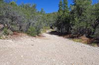 29-connector_from_Telephone_Cyn_Rd(E-W)_to_HikeaBike_TH,behind_Link_Trail_and_Tin_Can_Alley