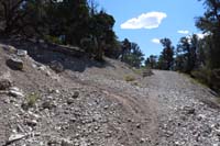 30-Pixie_S_Alt_TJ-alternate_connector_to_Pixie_to_L,ahead_and_behind_is_Hike_a_Bike