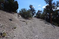 31-Pixie_TH,Hike_a_Bike_ahead_and_behind-going_L-Forest_Service_sign_to_R
