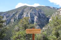 32-new_Forest_Service_sign