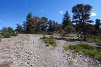 38-Pixie-JumpLine_TJ,Pixie_right(S),continuing_up_Jump_Line_ahead