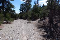 39-JumpLineOption_N_TJ-Jump_Line_ahead_and_behind,heading_up_Jump_Line_Option_to_R