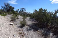 40-JumpLineOption_S_TJ,south_junction_Jump_Line_R-L,Jump_Line_Option_ahead-behind-going_ahead