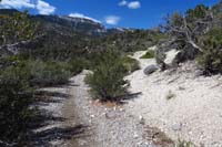 41-looking_back_to_JumpLineOption_S_TJ,L_is_Jump_Line,ahead_is_Option_I_came_from