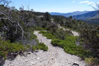 43-heading_south_seeing_a_connection_to_apparent_old_dirt_road