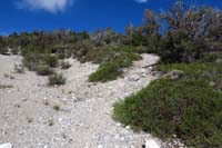 44-looking_back_to_trail_to_R,apparent_old_dirt_road_to_L
