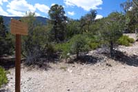 46-HikeaBikeShowgirl_TJ-left_and_behind_is_Showgirl_Trail,right_is_Hike-a-Bike_Trail_where_I'm_going