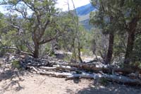 48-former_Trough_TH2_which_is_now_completely_blocked_off_to_discourage_use