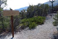 51-ShowgirlEquestrianSwitchback_TJ-new_signage