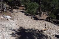 54-TroughEquestrianSwitchback_N_TJ-came_from_L,R_continues_Equestrian_Switchback,going_behind