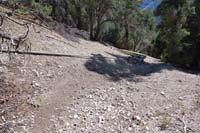 56-approaching_Tough_Spring-trough_with_constant_flowing_water,great_watering_hole