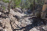 60-indication_of_past_flood_damage_issues,but_not_bad,fresh_mountain_bike_tracks_visible