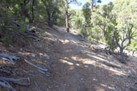 64-Equestrian_Switchback_is_more_pleasant_grade,but_longer