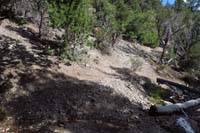 65-TroughEquestrianSwitchback_S_TJ-Trough_left_and_right,heading_up_Equestrian_Switchback_ahead