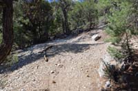 67-TroughEquestrianSwitchback_N_TJ,turn_right_uphill