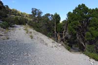 70-looking_back_to_HikeaBike_WP-trail_continues_to_right,not_ahead