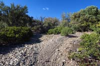 05-trail_getting_close_to_apex