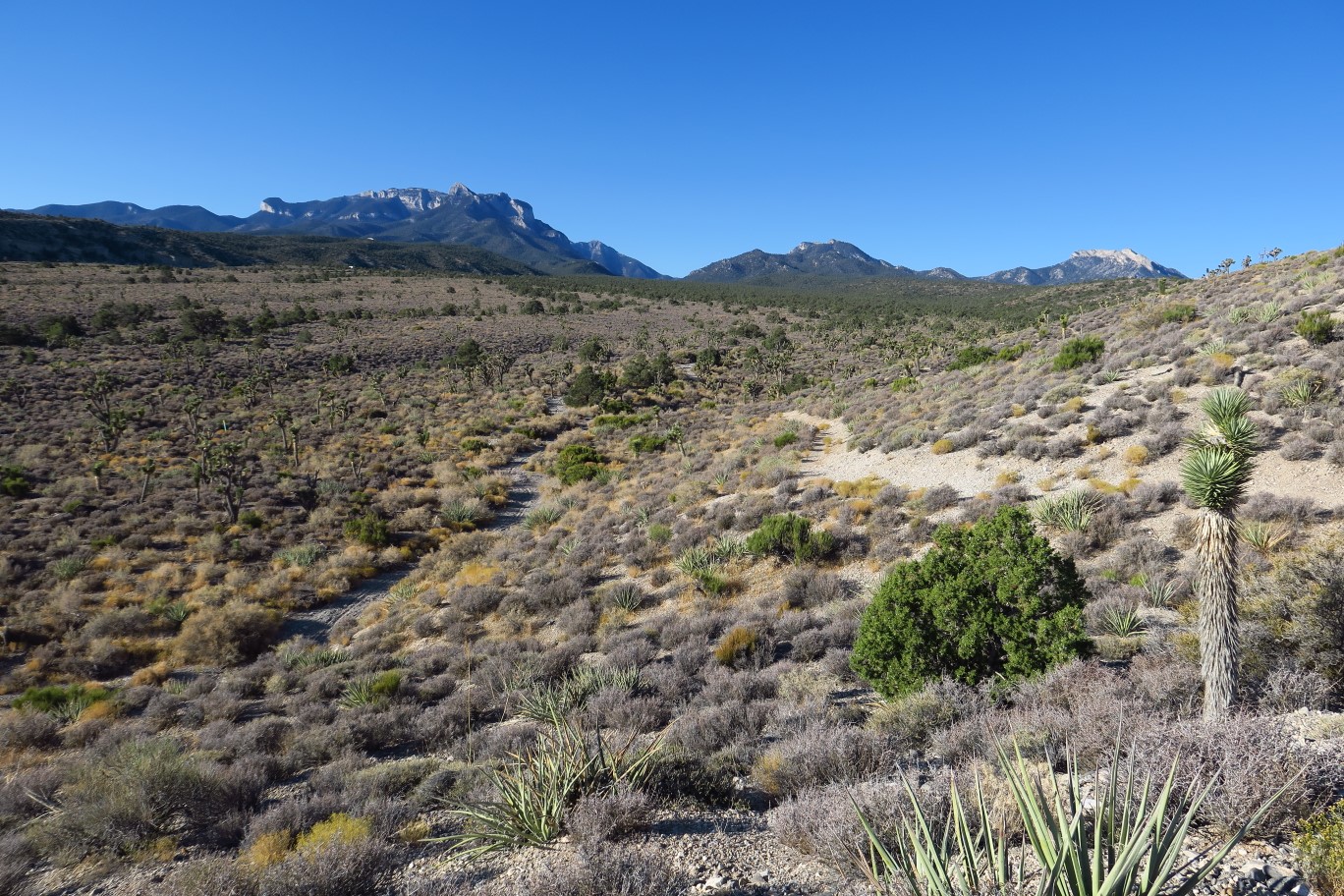 08-looking_back_towards_wash_recently_crossed