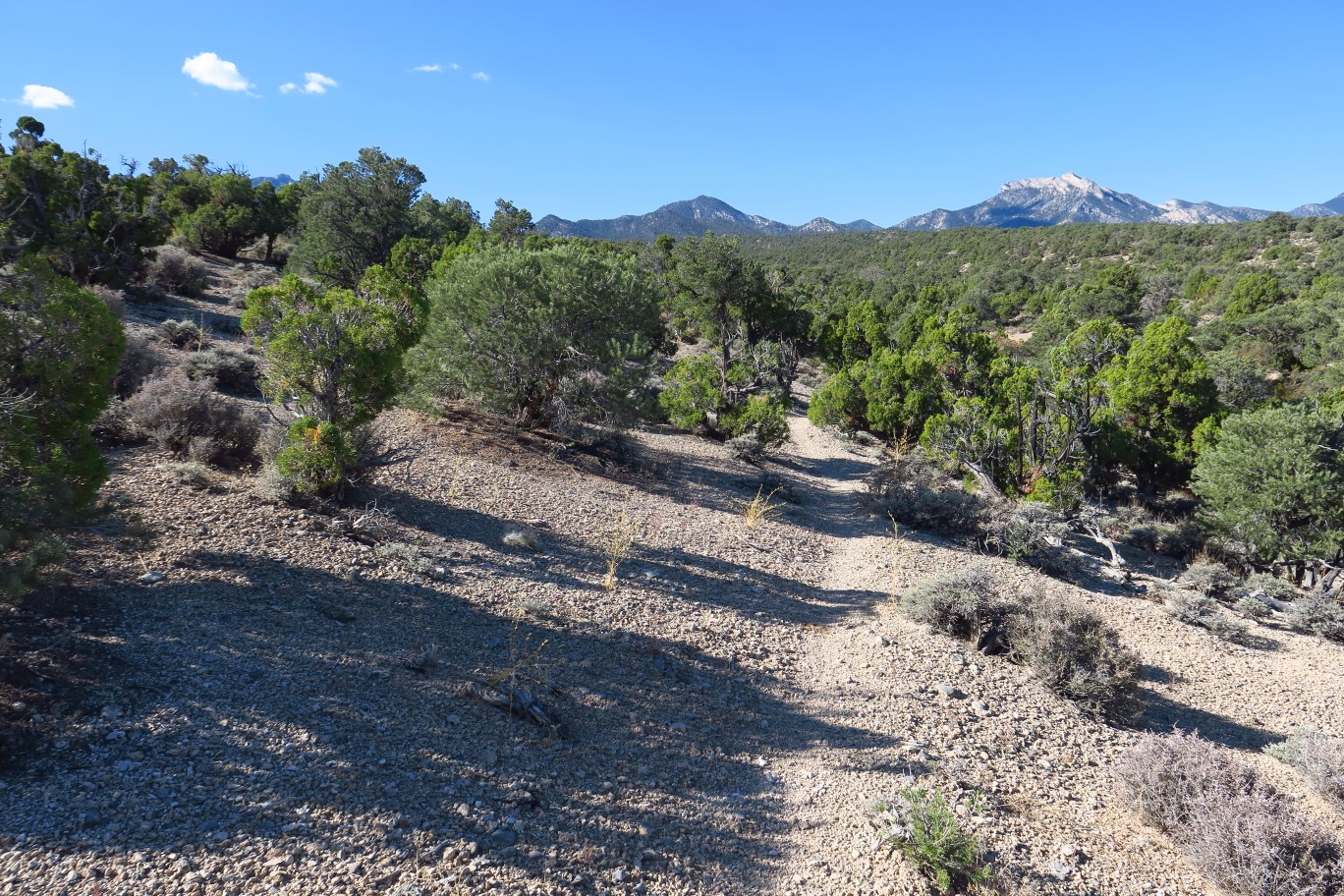 25-scenic_views_along_trail