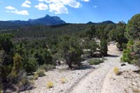36-scenic_views_along_trail-Mummy_Nose
