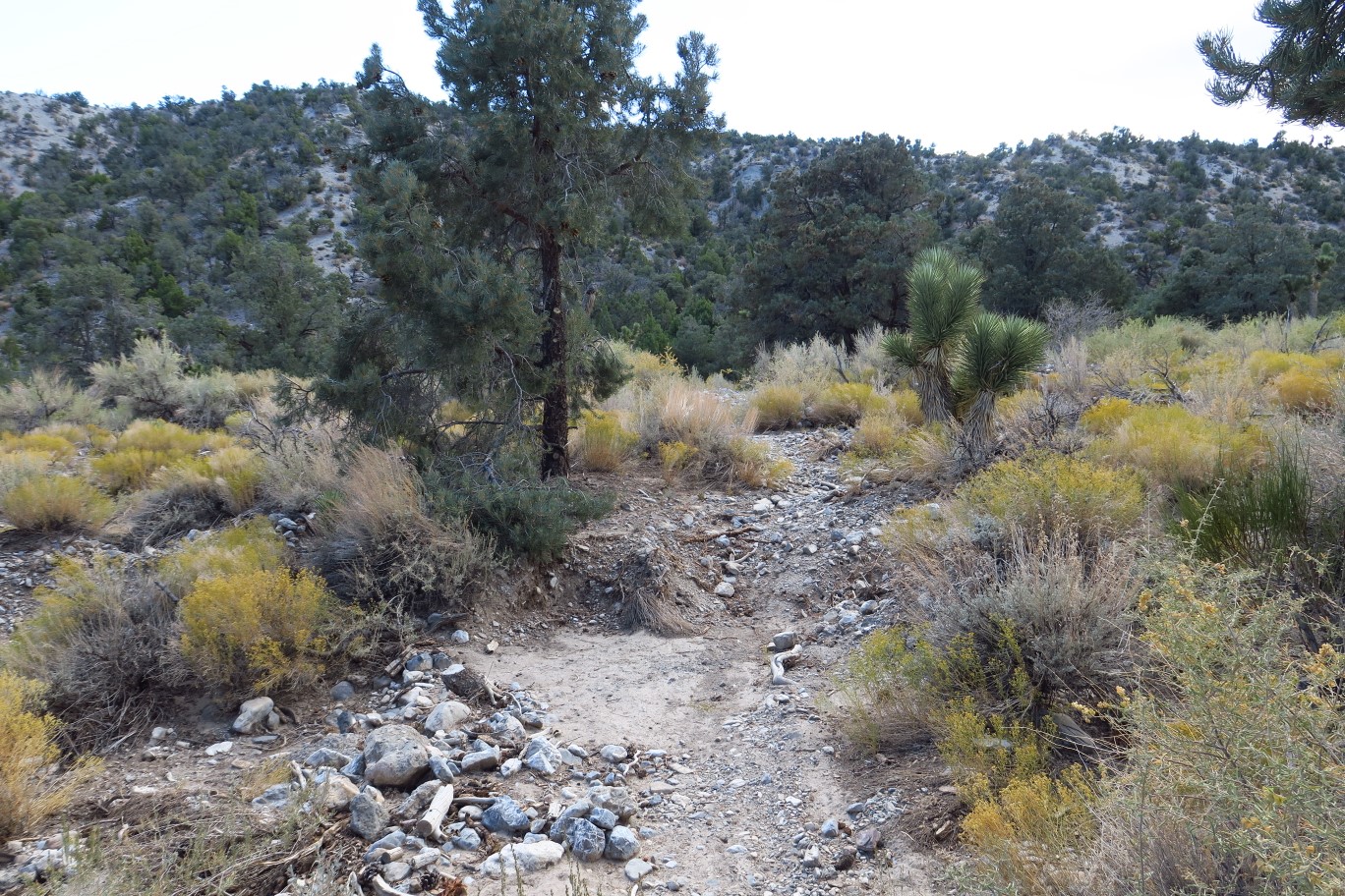 04-found_and_followed_old_trail
